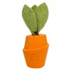 Carrot Cake Scented Dog Toy