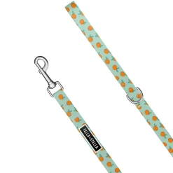 Cat Leash