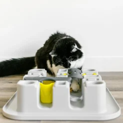 Cat Maze