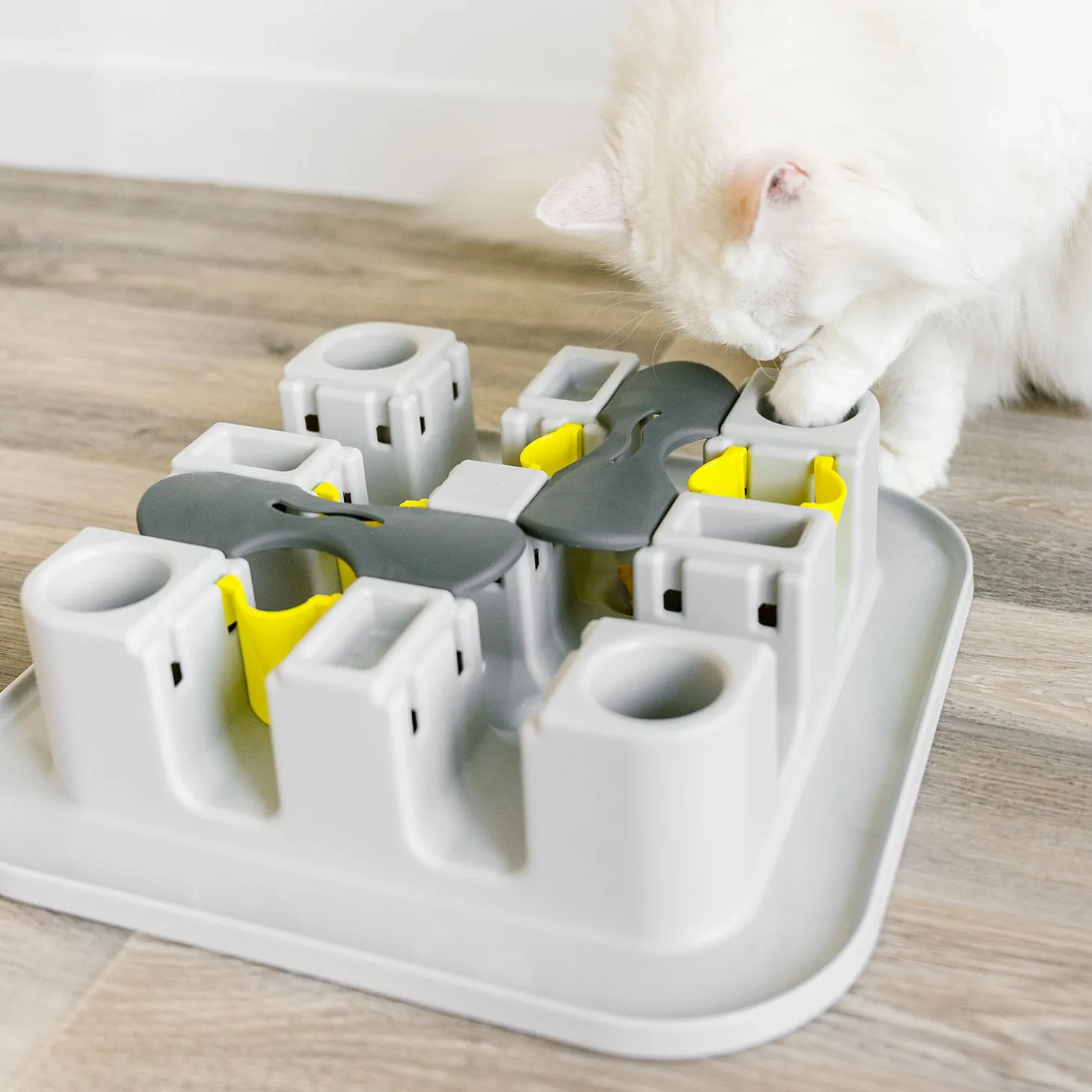 Cat Maze