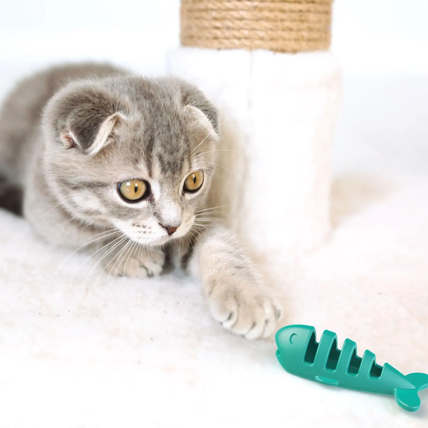 Cat purple fish treat and food toy