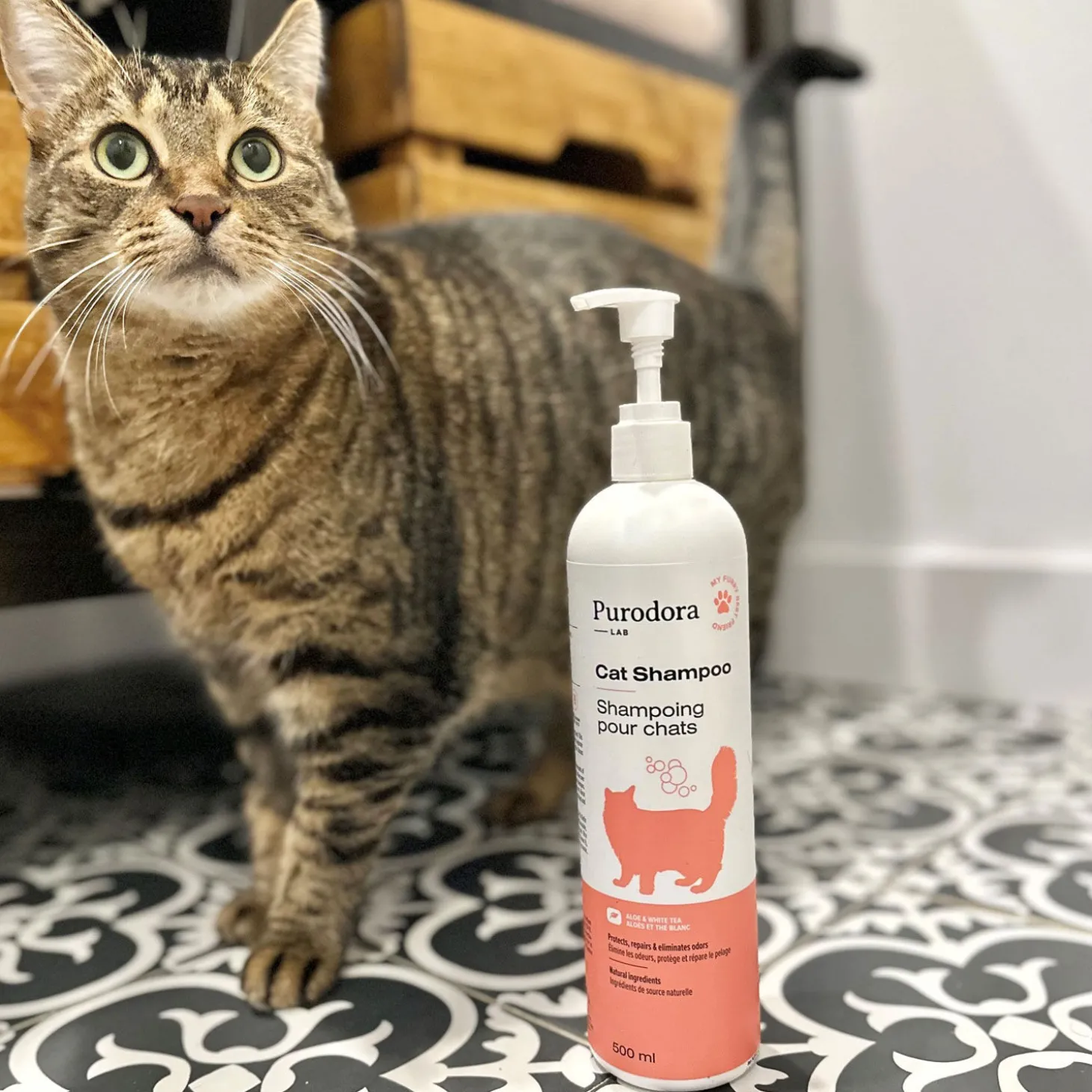 Cat Shampoo, 500 ml