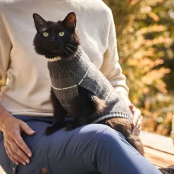 Cat Sweater