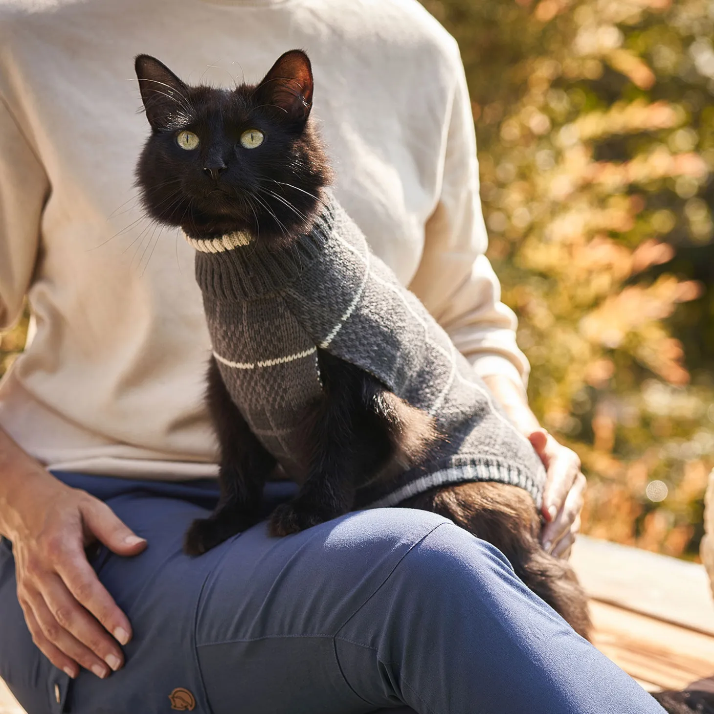 Cat Sweater