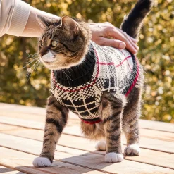 Cat Sweater
