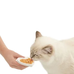 Catit Creamy Heart Dish
