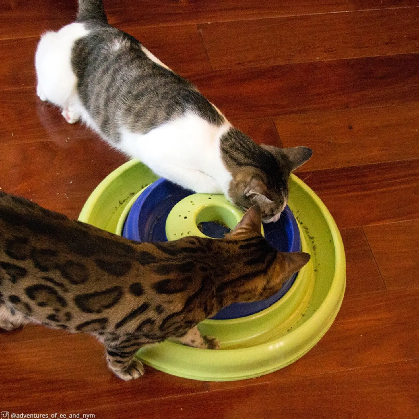 Catnip Hurricane cat toy
