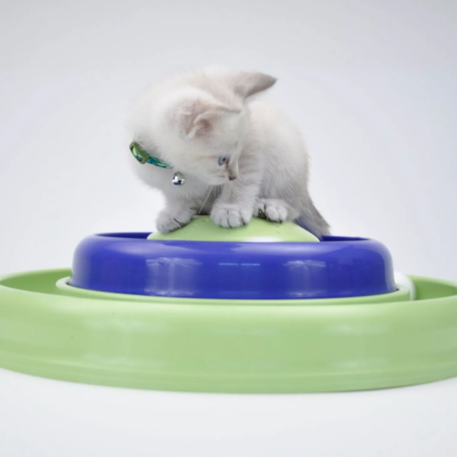 Catnip Hurricane cat toy