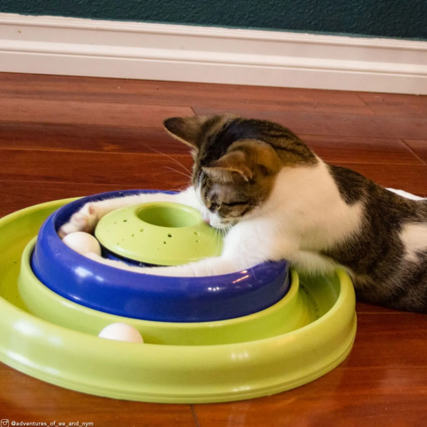 Catnip Hurricane cat toy