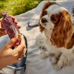 Charcuterie Trio Toys for Dogs