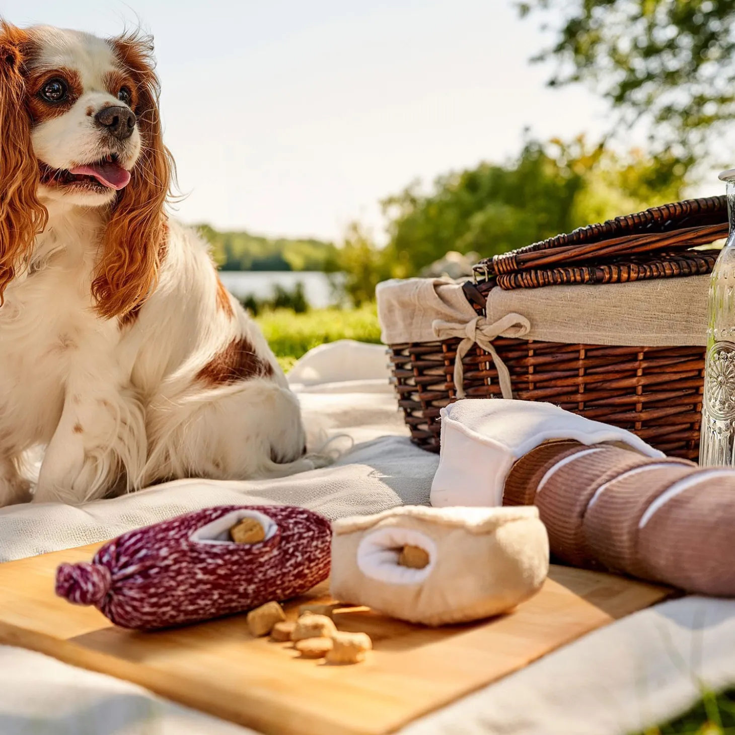 Charcuterie Trio Toys for Dogs
