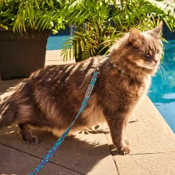 Cherry Smash Cat leash