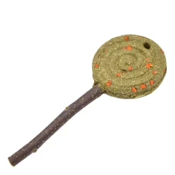 Chew toy for rodents, carrot lollipop