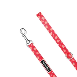 Chewy Dog Leash, L