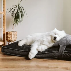 Chic Grey Dual Comfort Bed