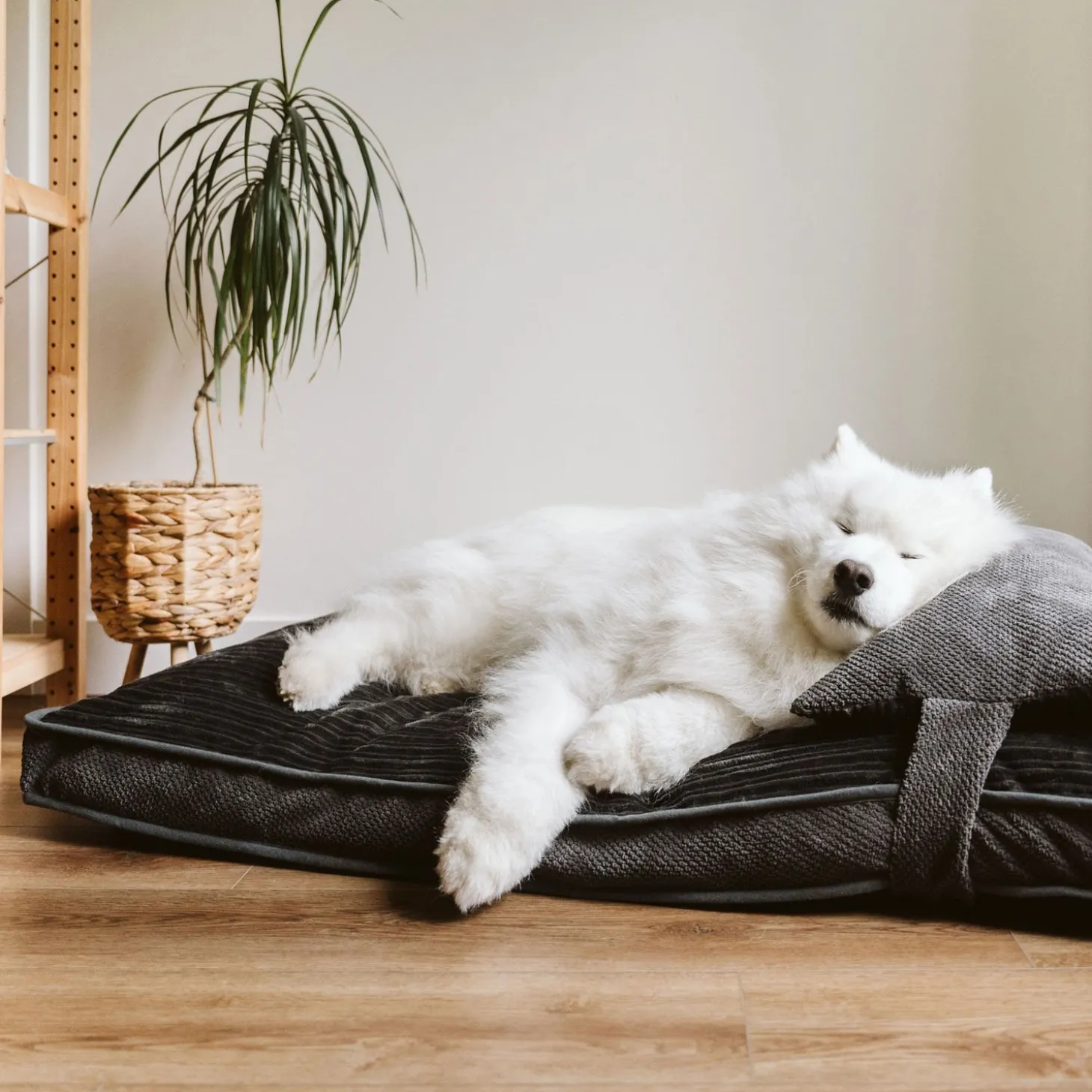 Chic Grey Dual Comfort Bed