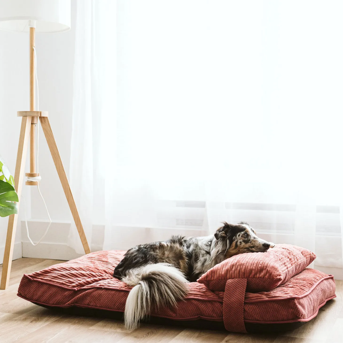 Chic Rose Dual Comfort Bed