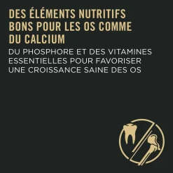 Chicken & Rice Development 30/20 Dry Food for Athletic Puppies, 10.9 kg