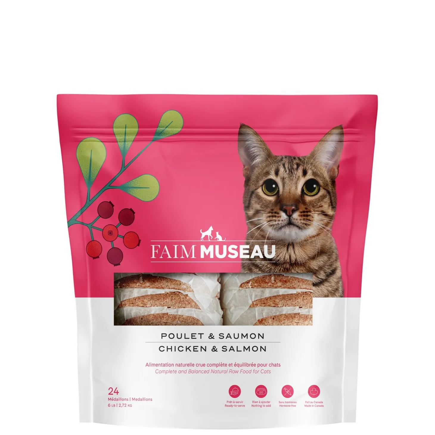 Chicken and salmon raw cat food