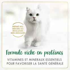 Chicken chunks wet food for adult cats