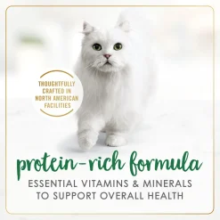 Chicken chunks wet food for adult cats