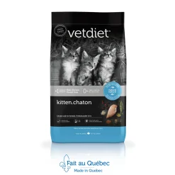 Chicken dry food for kitten