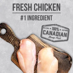 Chicken food for adult dogs