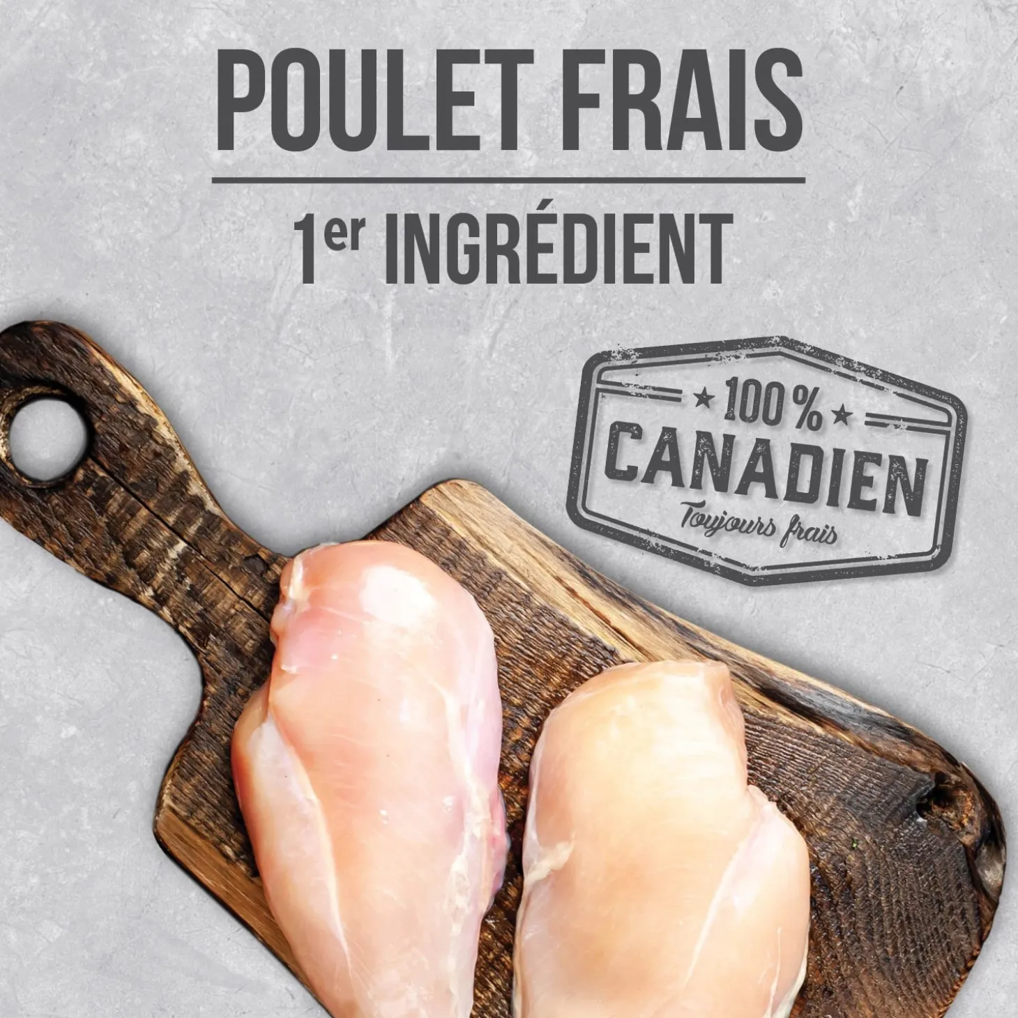 Chicken food for indoor cats
