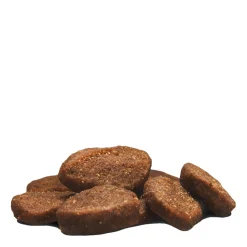 Chicken food for indoor cats