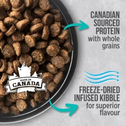 Chicken food for indoor cats