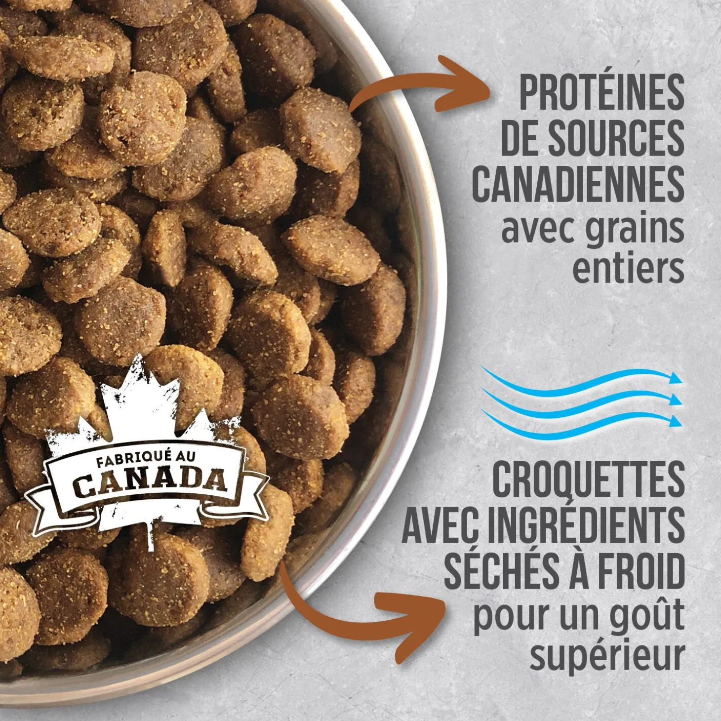 Chicken food for senior dogs