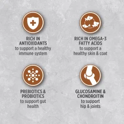 Chicken food for senior dogs