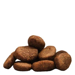 Chicken food for small breed adult dogs