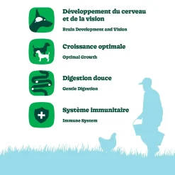 Chicken Recipe Dry Food for All Breed Puppies, 11.3 kg