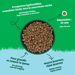Chicken Recipe Dry Food for All Breed Puppies, 11.3 kg