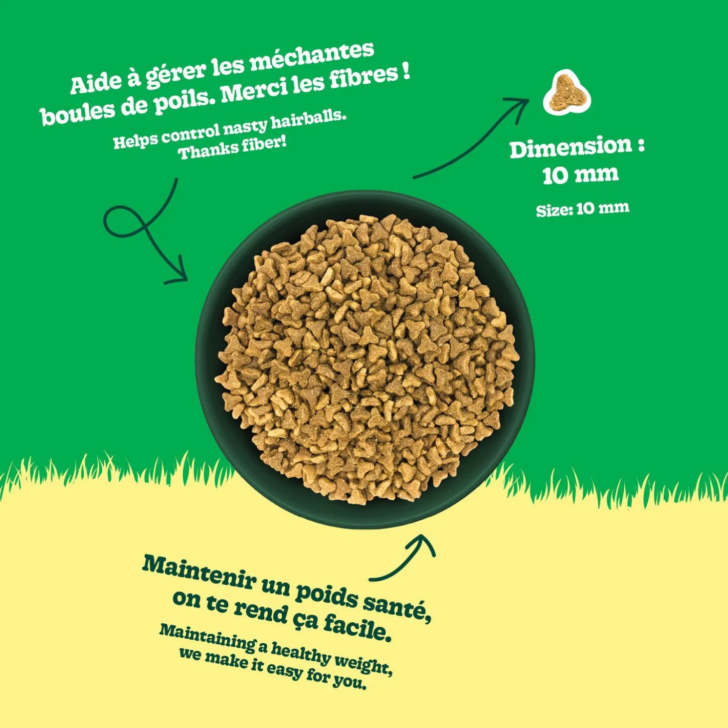 Chicken Recipe Dry Food for Adult Cats, 2 kg