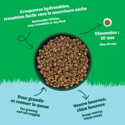 Chicken Recipe Dry Food for All Breed Puppies, 4 kg