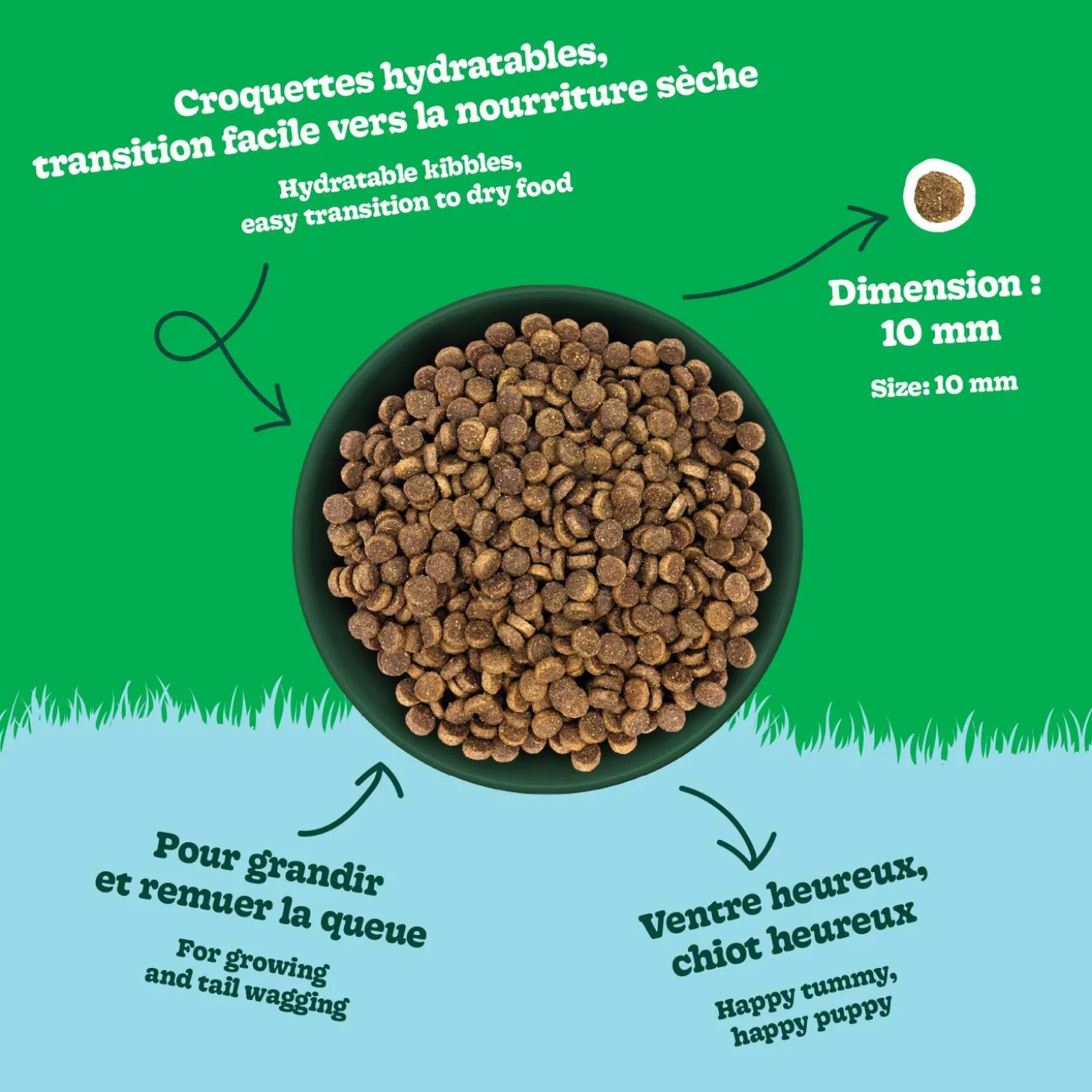 Chicken Recipe Dry Food for All Breed Puppies, 4 kg