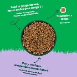 Chicken Recipe Dry Food for All Breed Adult Dogs, 4 kg