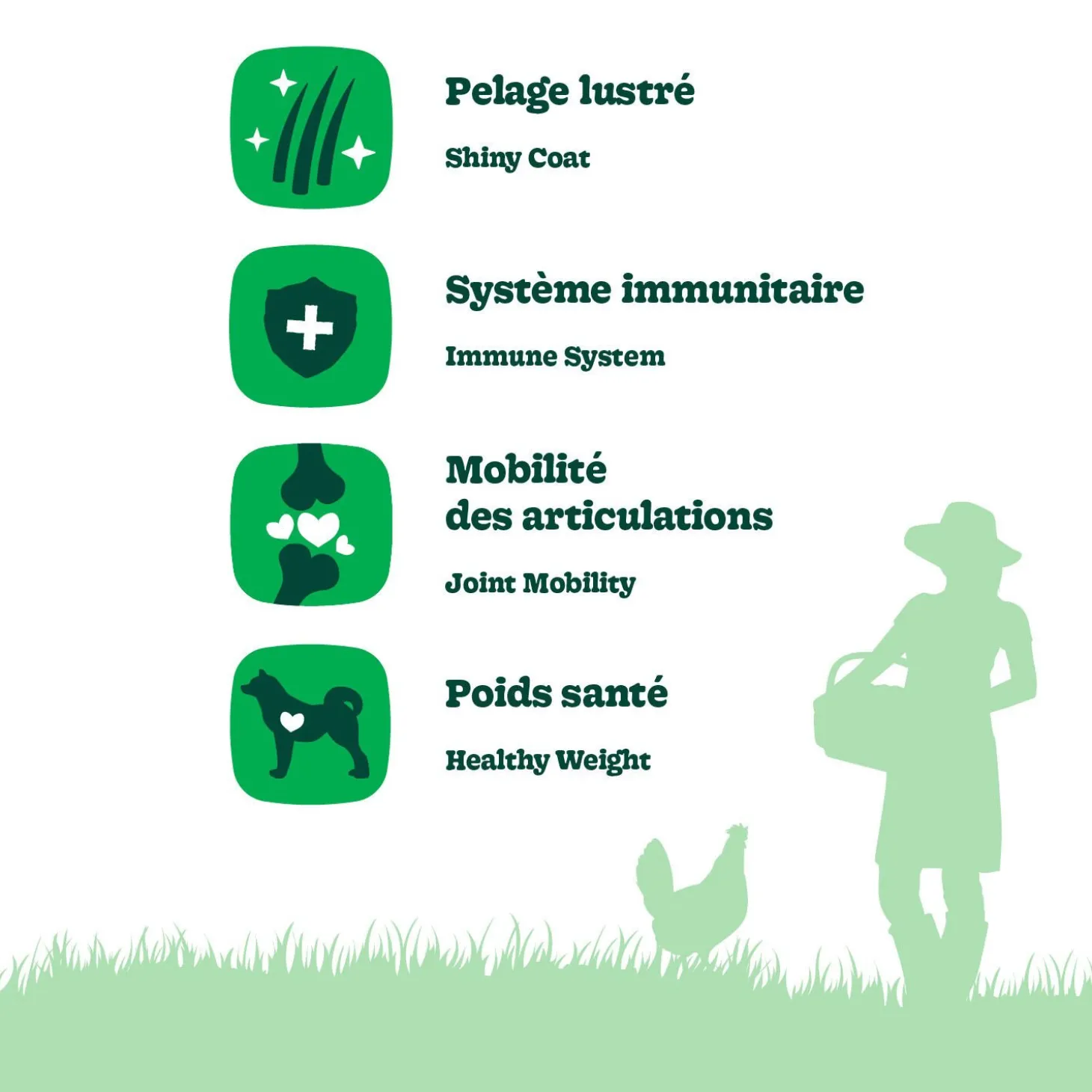 Chicken Recipe with Lamb Dry Food for Large Breed Senior Dogs, 11.3 kg