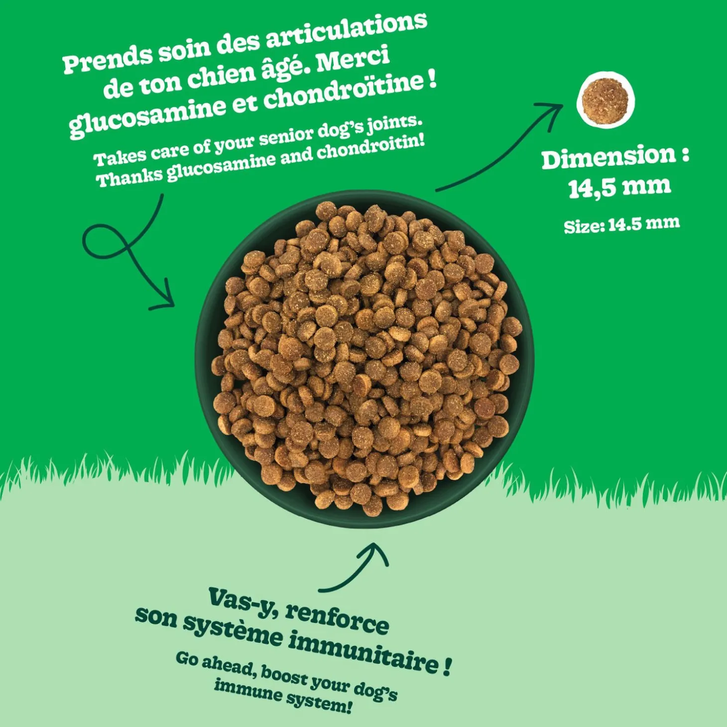 Chicken Recipe with Lamb Dry Food for Large Breed Senior Dogs, 11.3 kg