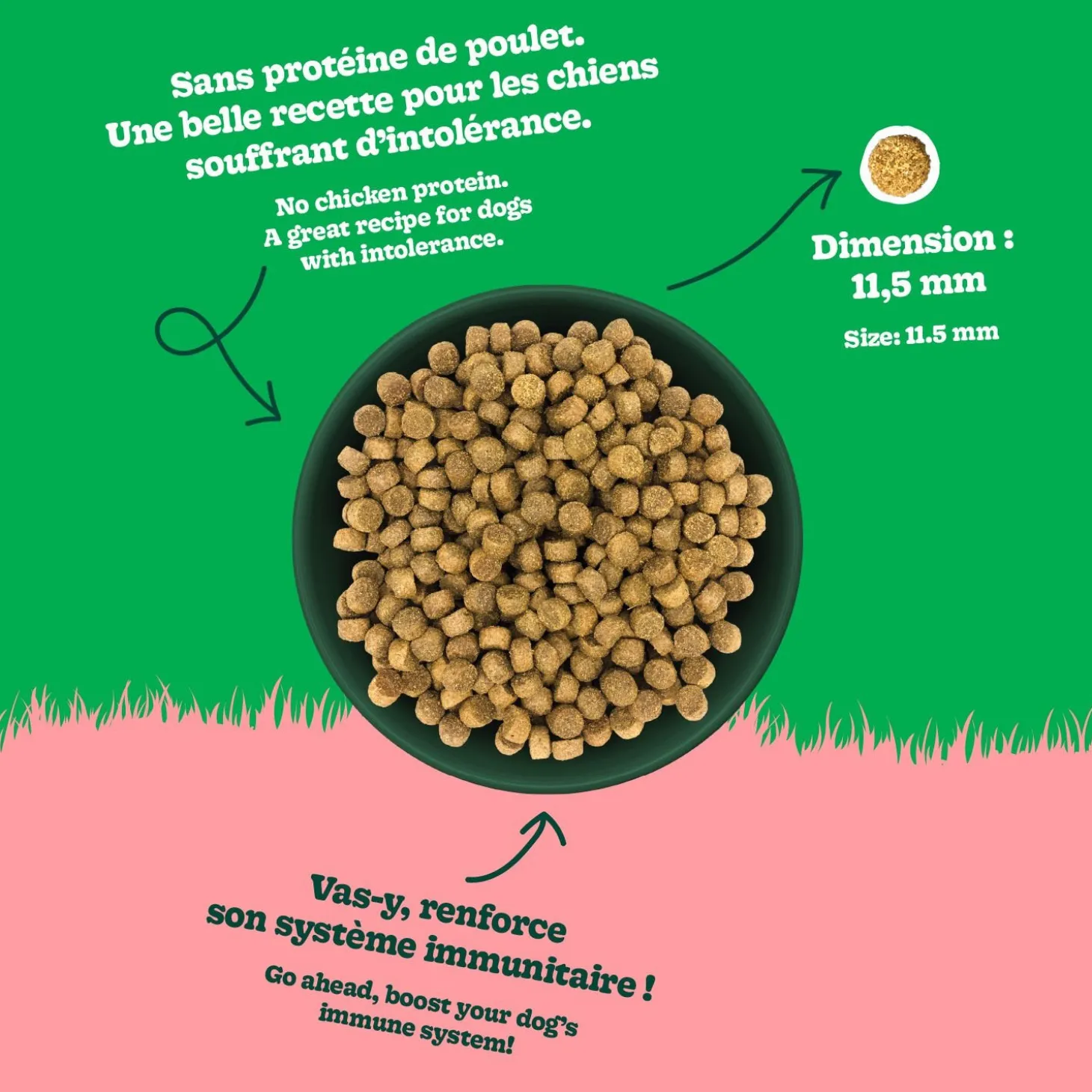 Chicken Recipe with Lamb Dry Food for All Breed Adult Dogs, 4 kg