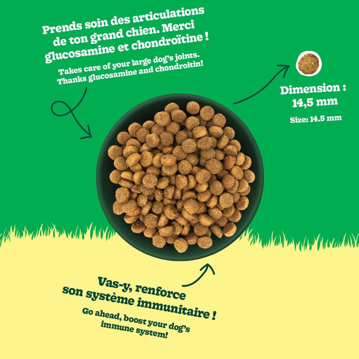 Chicken Recipe with Lamb Dry Food for Large Breed Adult Dogs, 15 kg
