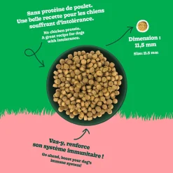 Chicken Recipe with Lamb Dry Food for All Breed Adult Dogs, 11.3 kg