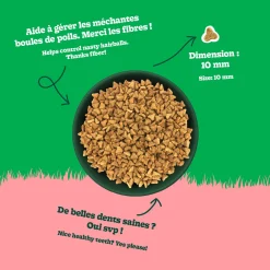 Chicken Recipe with Lamb Dry Food for Adult Cats, 2 kg