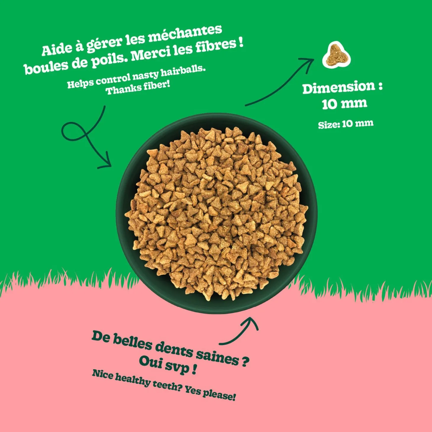 Chicken Recipe with Lamb Dry Food for Adult Cats, 2 kg