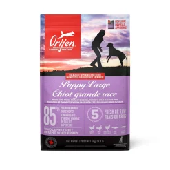 Chicken, Turkey and Wild-Caught Fish Dry Food for Large Breed Puppies, 6 kg