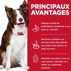Chicken, Vegetable & Rice Stew Adult Perfect Digestion Wet Dog Food, 363 g