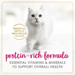 Chicken wet food for adult cats