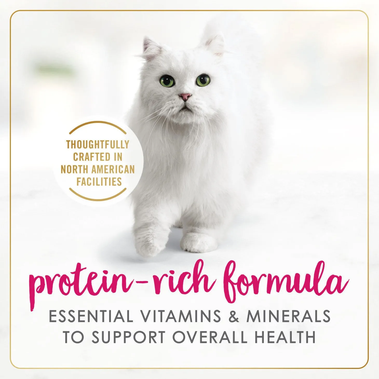 Chicken wet food for adult cats